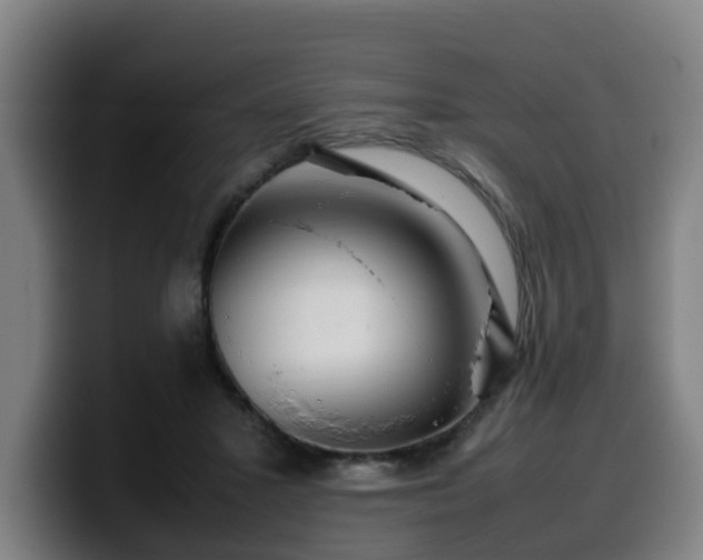 X0000099940407200805301221