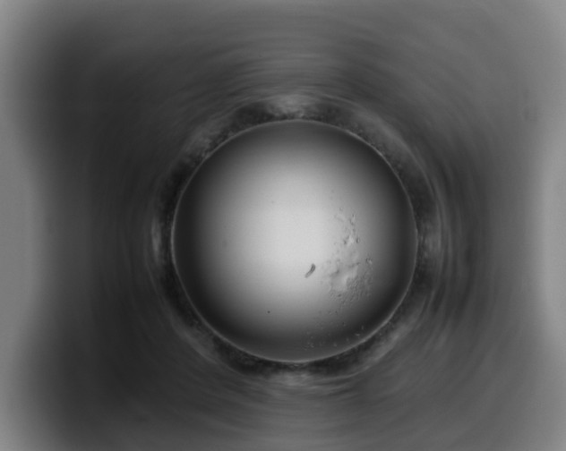 X0000099940408200805301221