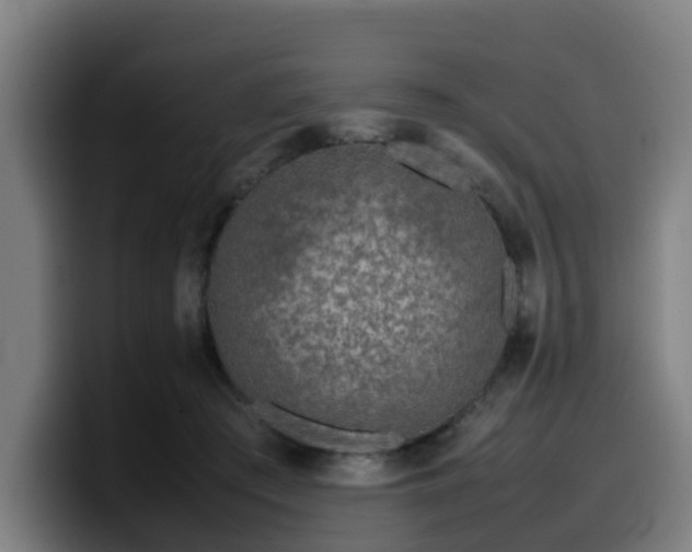 X0000099940409200805301221
