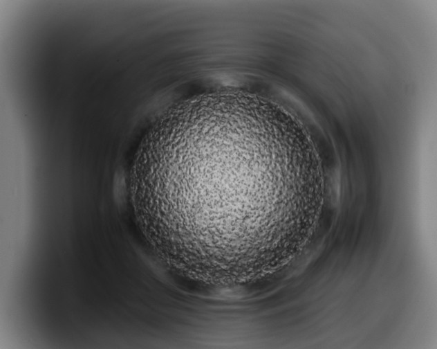 X0000099940410200805301221