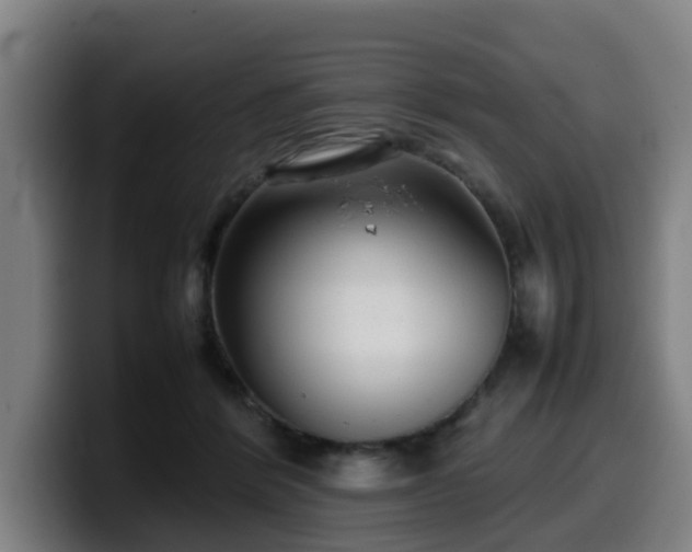 X0000099940412200805301221