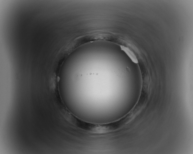 X0000099940413200805301221