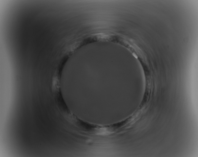 X0000099940419200805301221