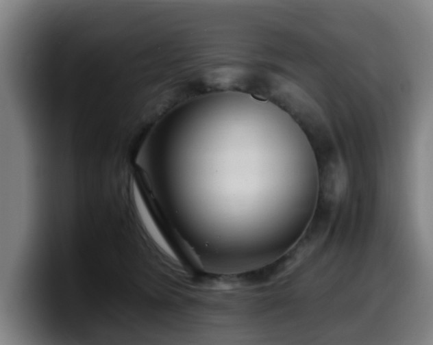 X0000099940420200805301221