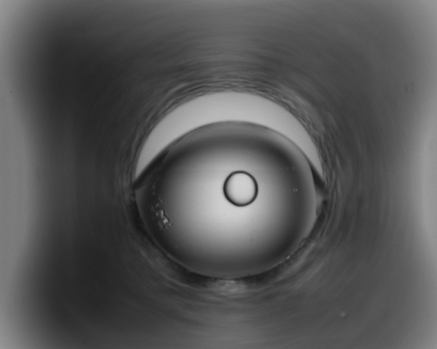 X0000099940421200805301221