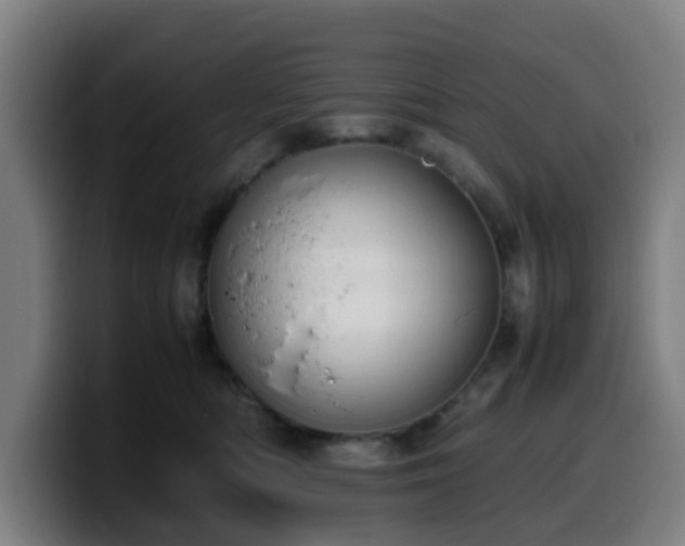 X0000099940422200805301221