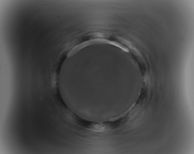 X0000099940423200805301221