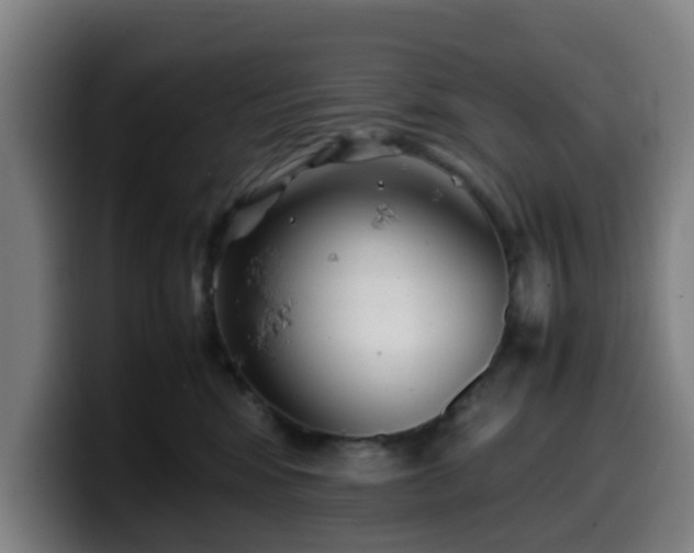 X0000099940424200805301221