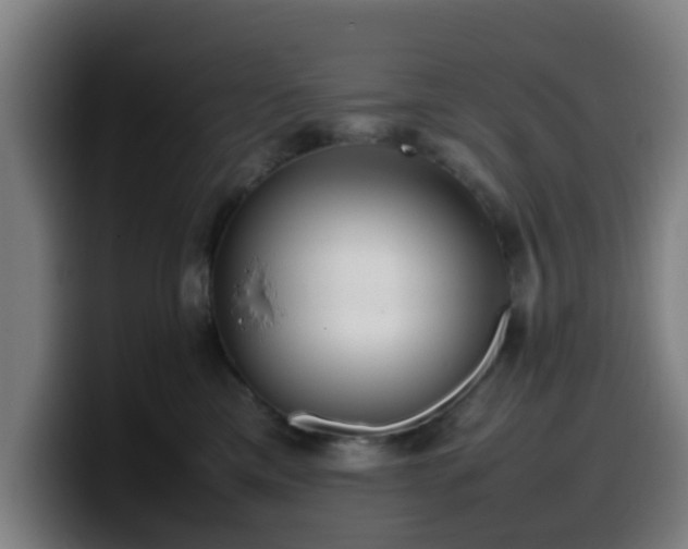 X0000099940425200805301221
