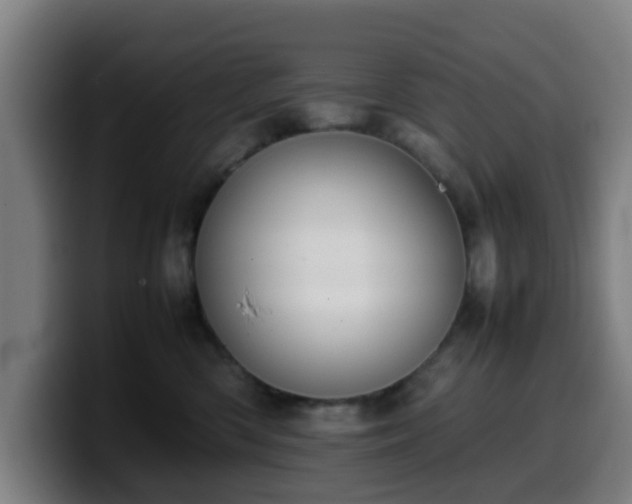 X0000099940426200805301221