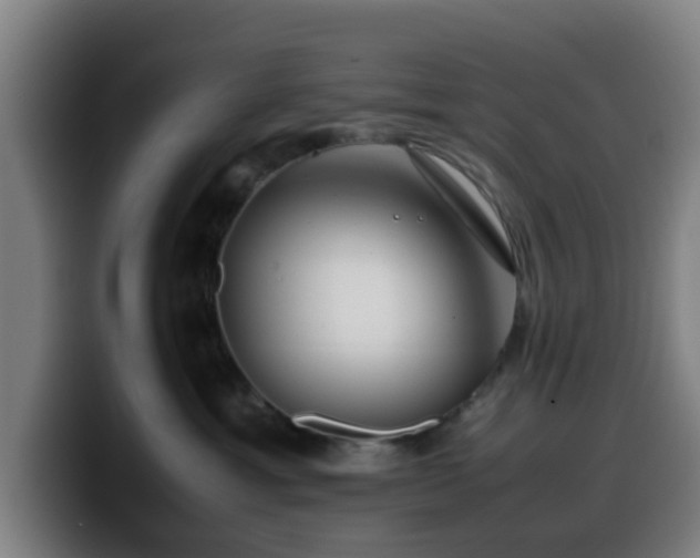 X0000099940429200805301221