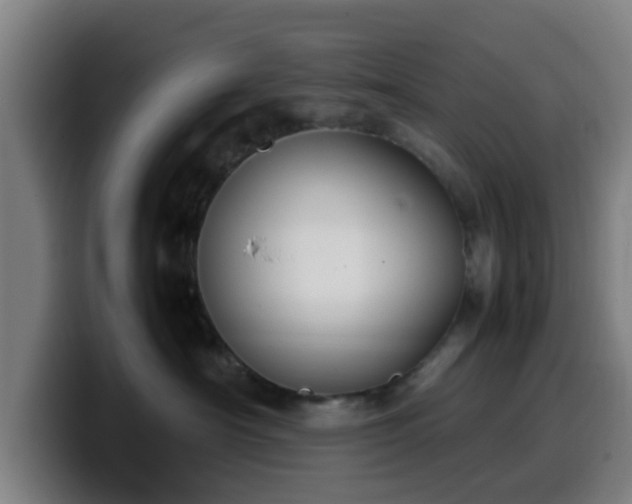 X0000099940430200805301221