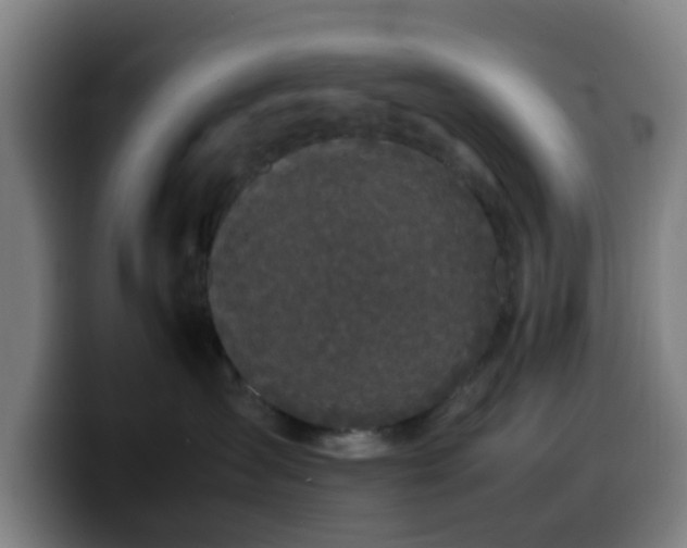 X0000099940431200805301221