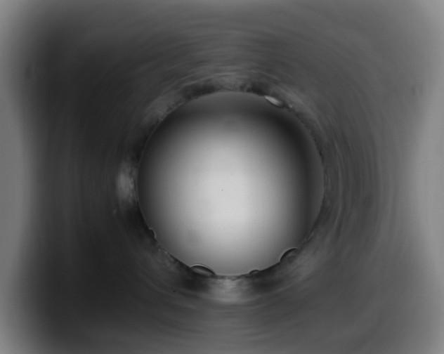 X0000099940432200805301221