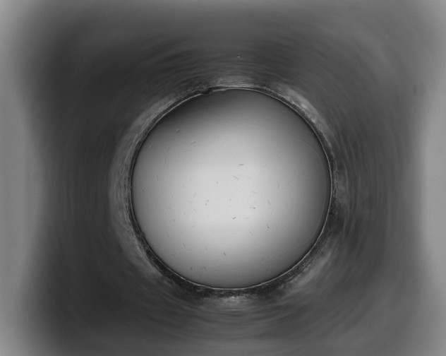 X0000099940433200805301220