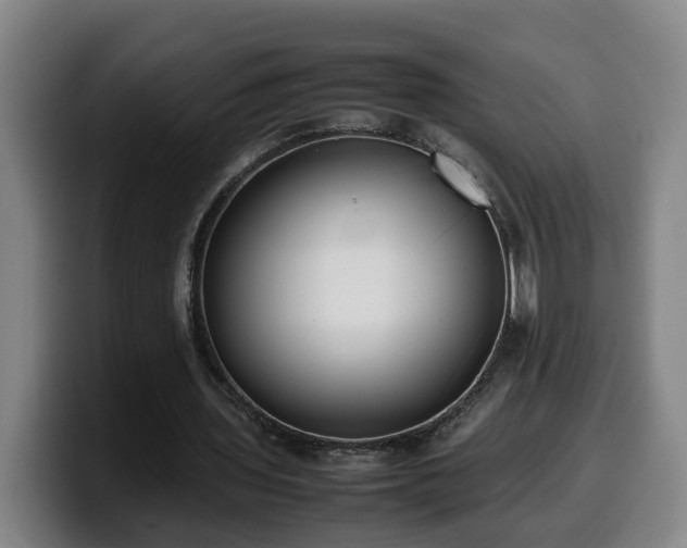 X0000099940435200805301220