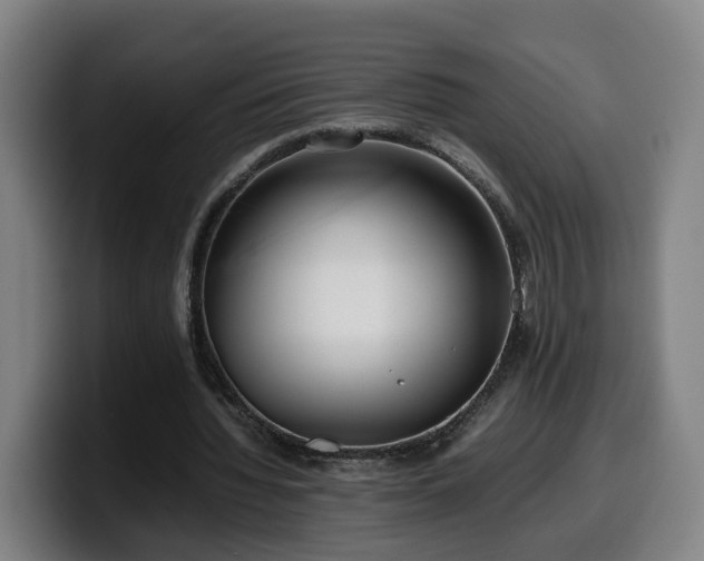 X0000099940436200805301220