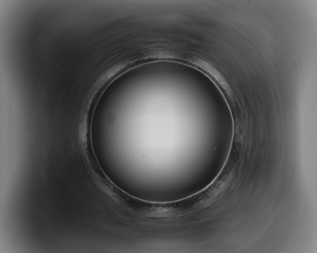 X0000099940437200805301220