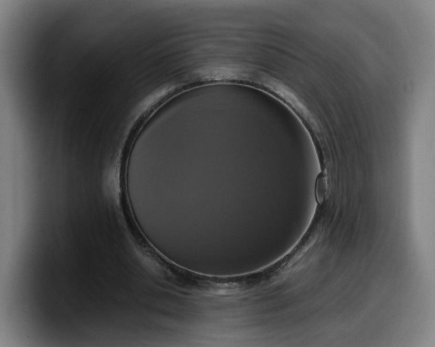 X0000099940438200805301220