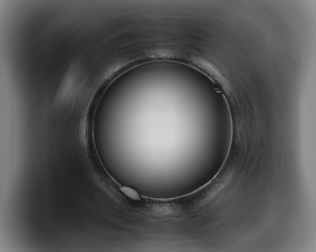 X0000099940439200805301220