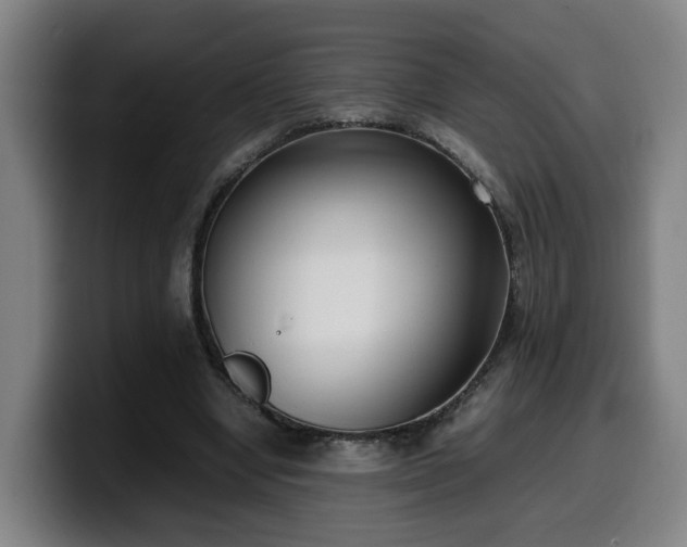 X0000099940442200805301220