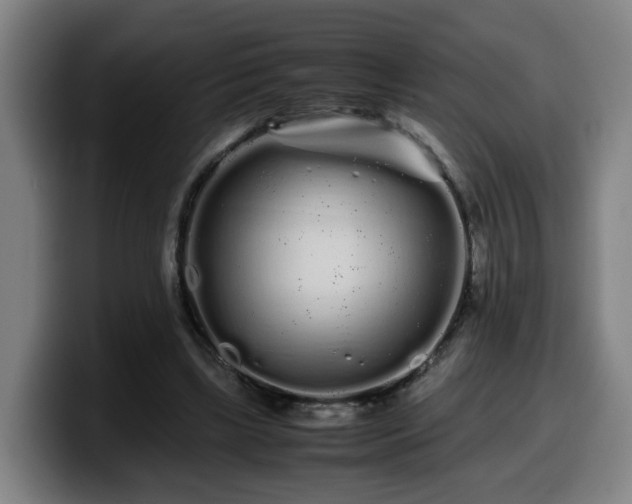 X0000099940443200805301220