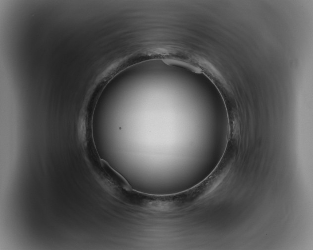 X0000099940444200805301220