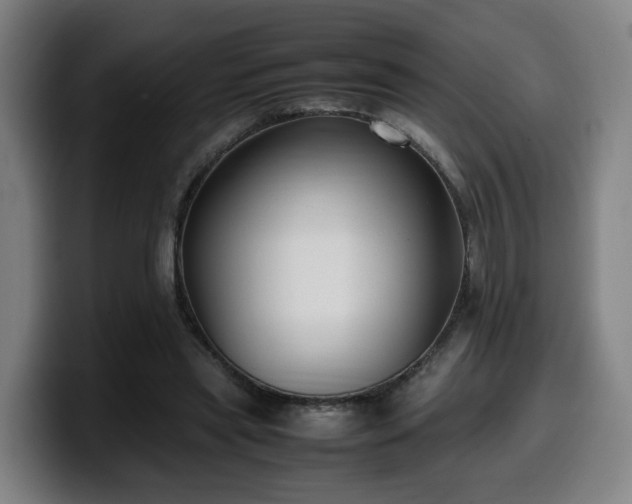 X0000099940445200805301220
