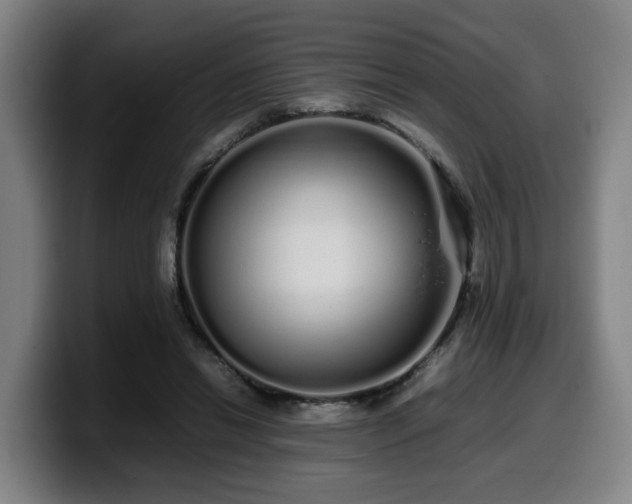 X0000099940446200805301220