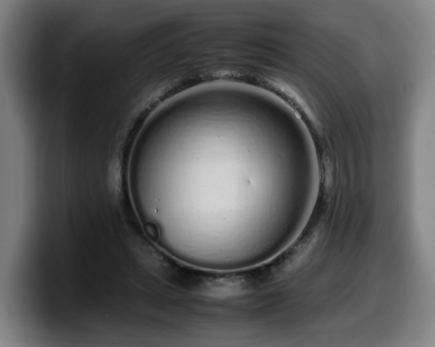 X0000099940447200805301220