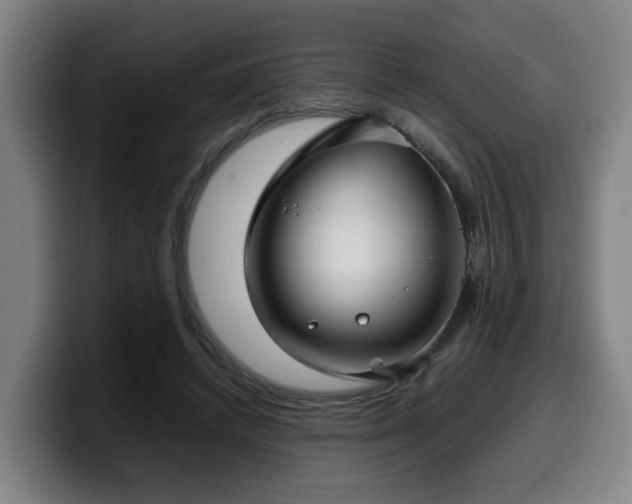 X0000099940448200805301220