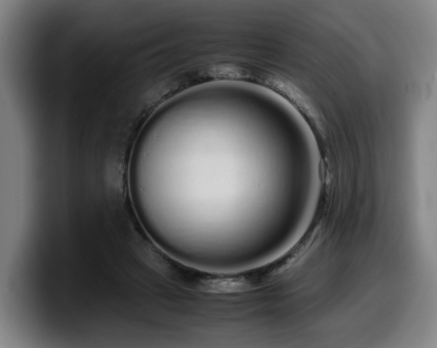 X0000099940449200805301220