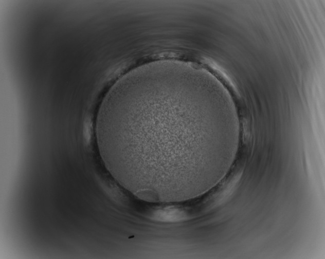 X0000099940451200805301220