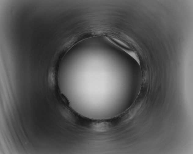 X0000099940452200805301220