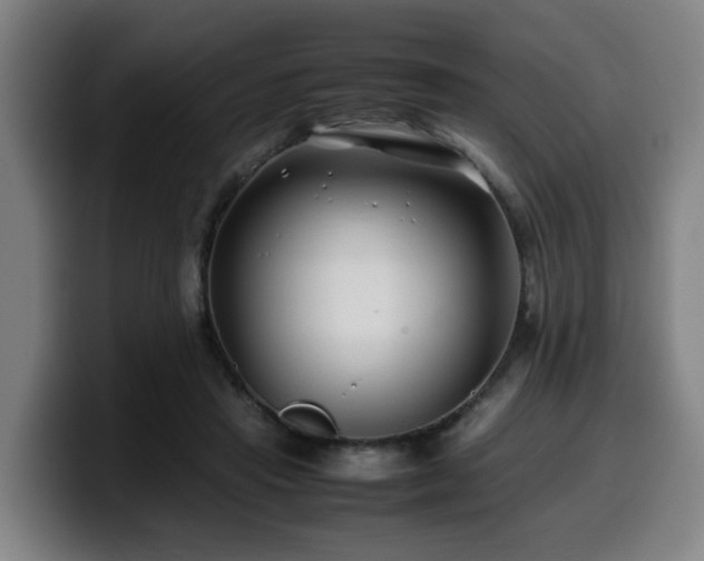 X0000099940453200805301220