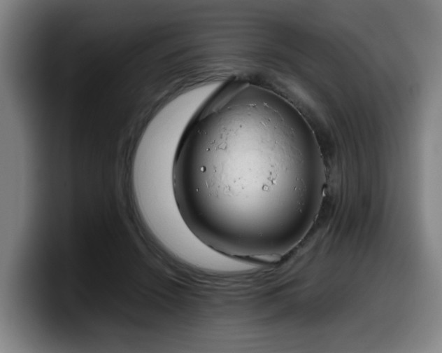 X0000099940456200805301220