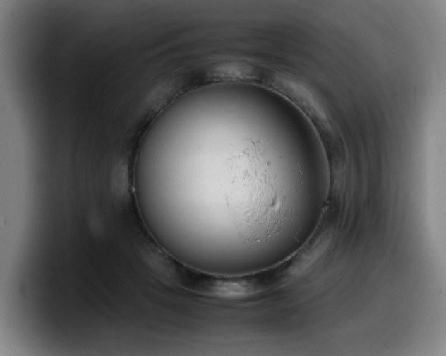 X0000099940457200805301220
