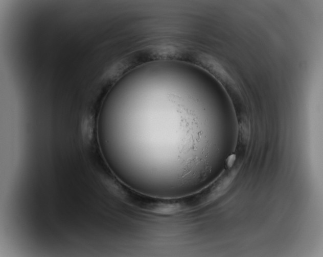 X0000099940458200805301220
