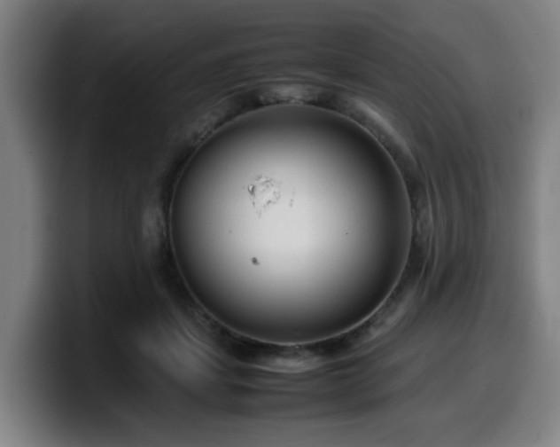 X0000099940459200805301220