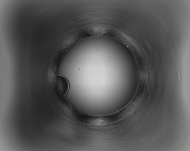 X0000099940460200805301220