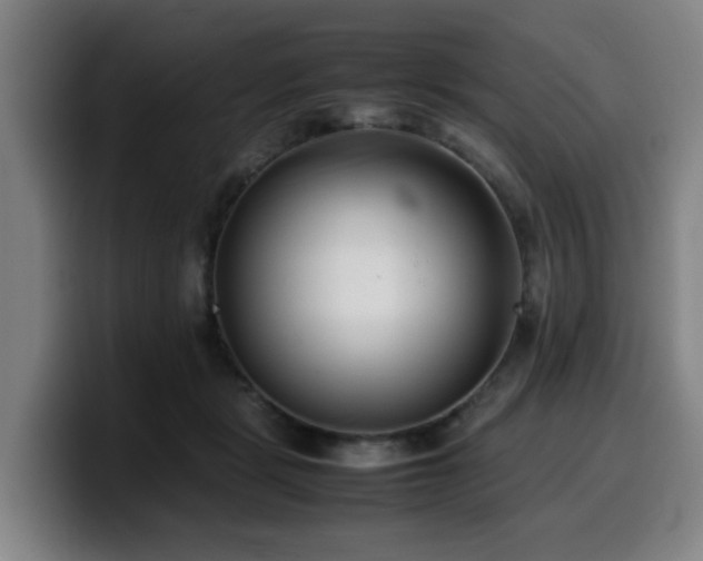 X0000099940461200805301220