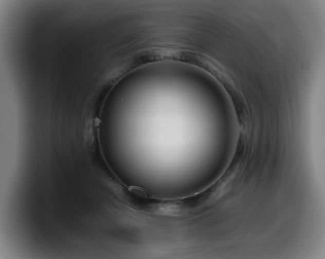 X0000099940462200805301220