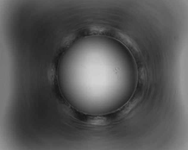 X0000099940463200805301220