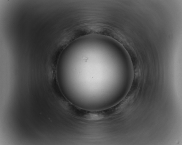 X0000099940464200805301220