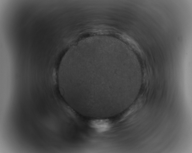 X0000099940465200805301220