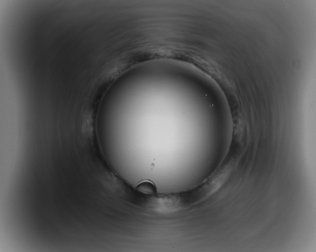 X0000099940466200805301220