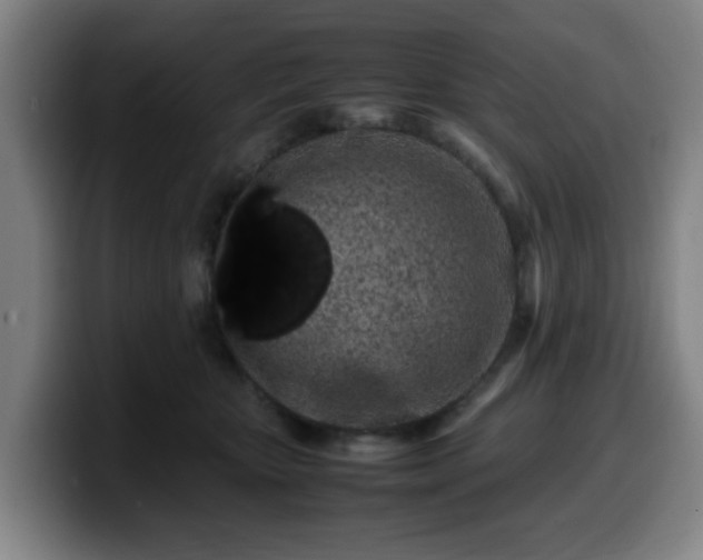 X0000099940467200805301220