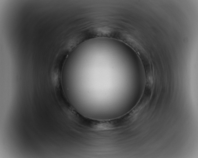 X0000099940468200805301220