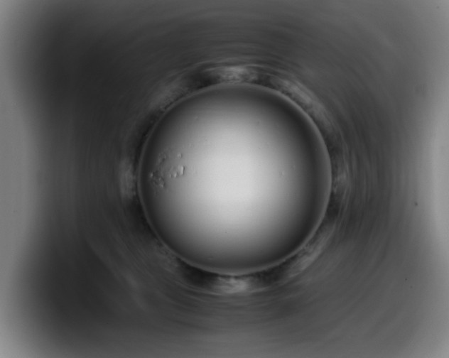 X0000099940469200805301220