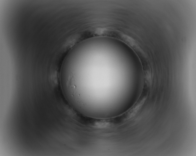 X0000099940470200805301220